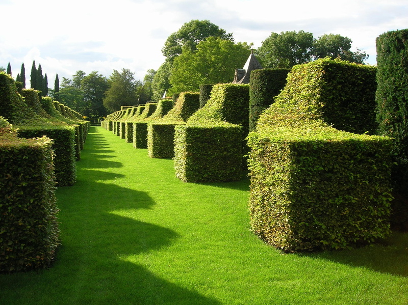 growth, 18Th Century, 10 hectares, garden, nature, sky, formal garden, plant, domain, French Garden, plant sculptures, hedge, 17th century manor house