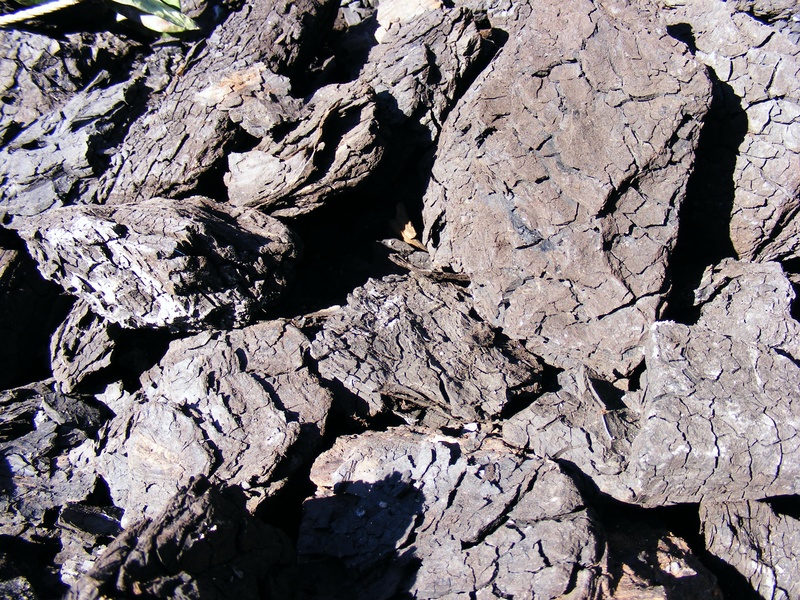 coal, close-up, abundance, no people, btu, backgrounds, black, industries, high angle view, nature, lignite, rock - object, mineral, pattern, beauty in nature