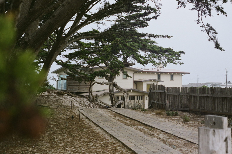 house, day, morrow bay, building exterior, building, outdoors, nature, track, built structure, transportation, growth, rail transportation, tree, 2K, residential district