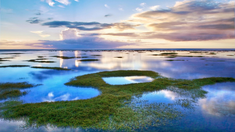 amazing, flood, beautiful, cool, 1080P, plain, floodplain, nature, nature and landscapes, nice, awesome