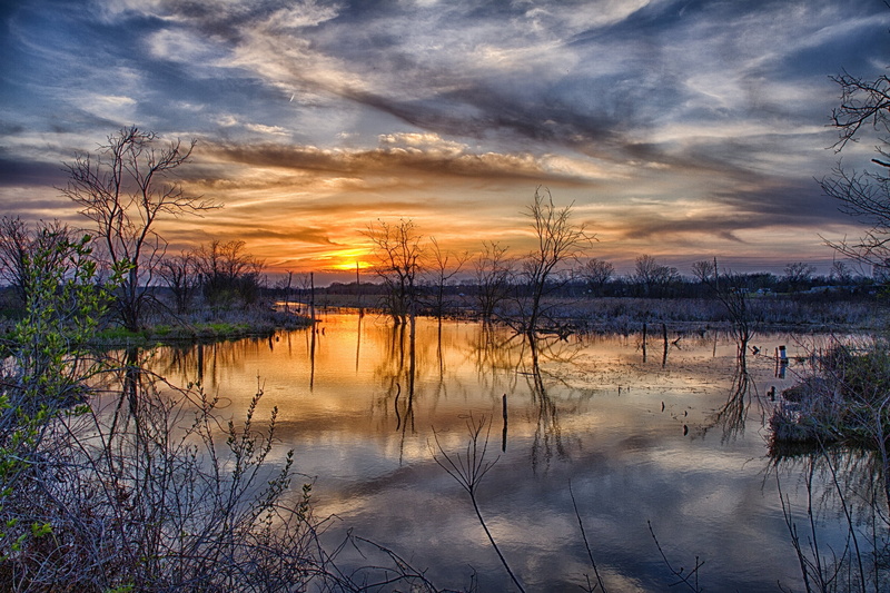 yellow, landscape, no people, summer, tree, sunrise - Dawn, land, water, multi Colored, red, cloudscape, idyllic, river, weather, orange Color, spring