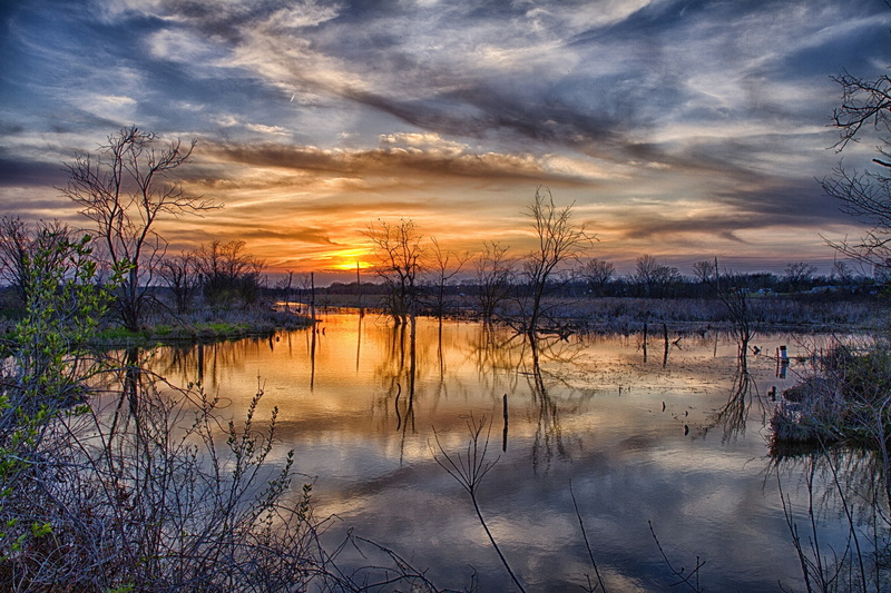 sun, 1080P, trees, Sunset, spring flood, clouds, spring, flood