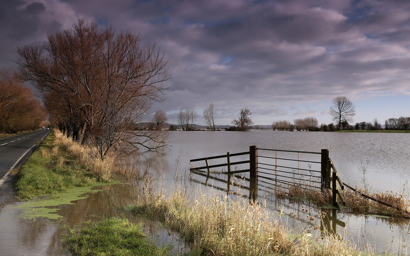hd, nature, 1080P, trees, flood, fence