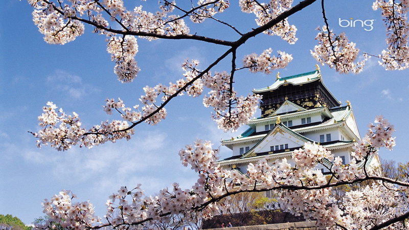 landscapes, nature, spring, temple, 1080P, flowers, blossoms, cherry, oriental