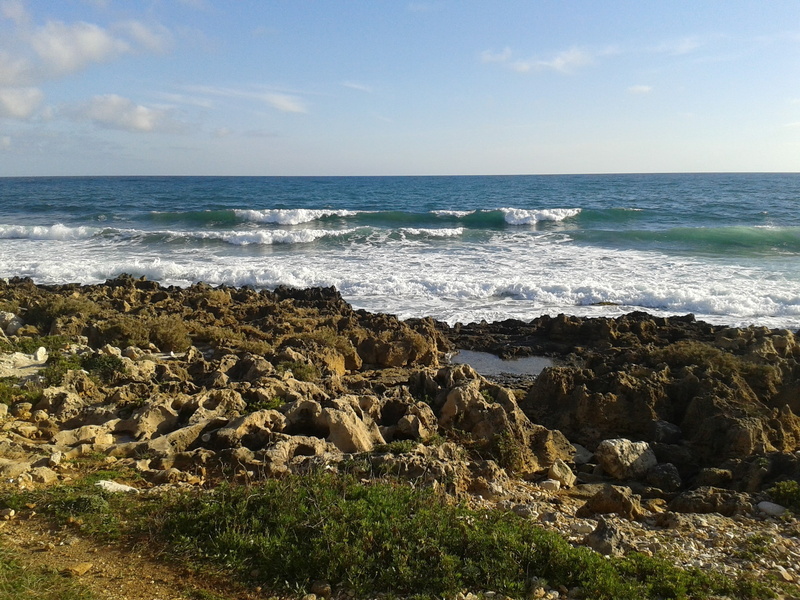 beauty in nature, outdoors, scenics - nature, day, tranquil scene, wave, rocky coastline, water, horizon, sea, rock, land, tranquility, solid, italy sicily trapani nature sea landscape
