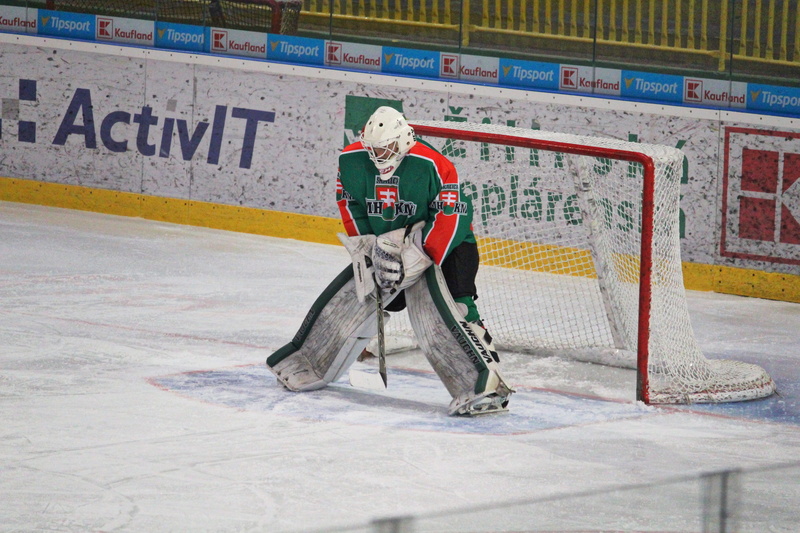 teams, ice skating rink, mask, full length, sports, headwear, stadium, safety, competition, players, sports equipment, winter, teenager, ice hockey, ice