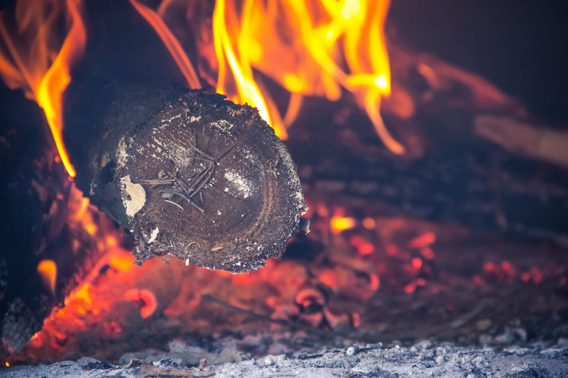 close-up, bonfire, nature, ash, wood, wood - material, fire, burning, firebox, campfire, night, bread, inferno, glowing, furnace, heat - temperature, 5K