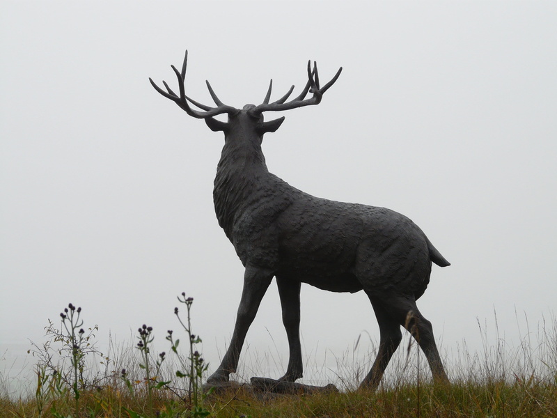 mammal, animals in the wild, antler carrier, plant, 2K, bronze statue, fog, herbivorous, deer, nature, animal, cast iron, stands, red deer, day, paarhufer