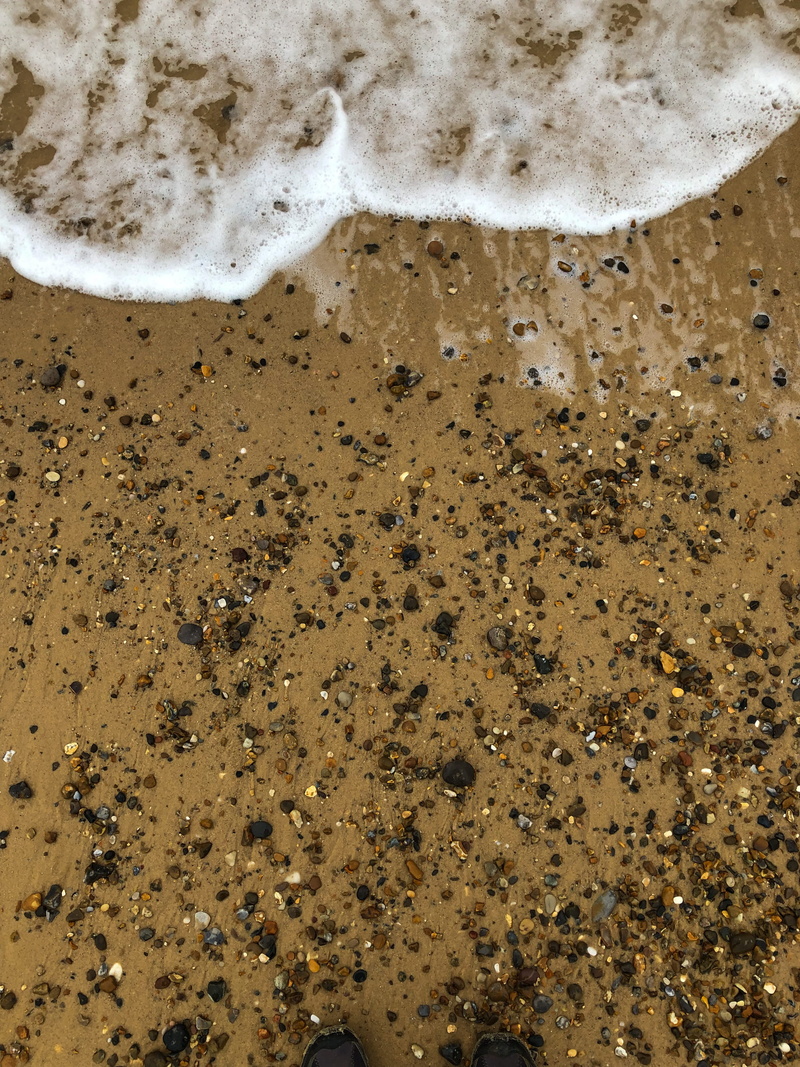 aquatic sport, insect, wave, beach, foam, surfing, water, mold, bee, motion, 4K, brown, land, honey bee, sea, nature, dirt road, mud, sport, drink, animal
