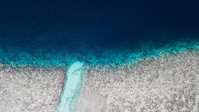 sand, 4K, travel, blue, undersea, sea life, sea, land, turquoise colored, reef, landscape, sky, people, aquatic sport, water, coral reef, aerial view