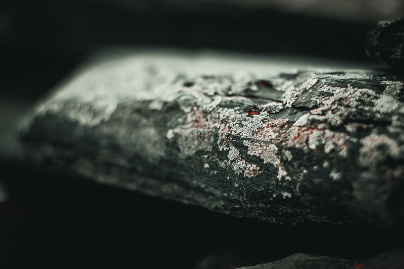 black background, no people, focus, wildlife, metal, old, run-down, coin, invertebrate, nail, textured, mountain, weathered, rough, selective, mammal, wooden