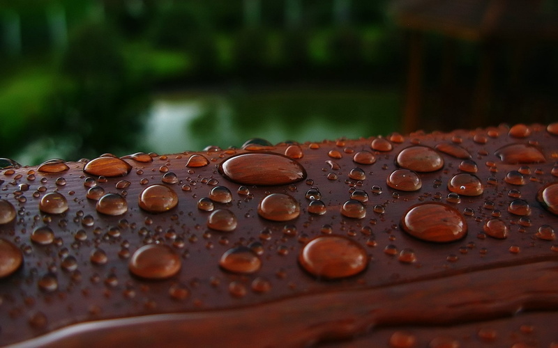 day, abstract, dew, metal, reflection, pattern, rainy season, drops, liquid, rain, nature, finance, leaf, summer, bubble, tranquility, macro, 1080P, drop