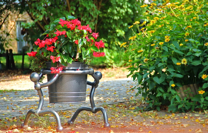 park, outdoors, summer, pot, beauty in nature, freshness, gray, chair, plant, plant part, table, gardening, leaf, front or Back Yard, autumn, nature, flowerbed