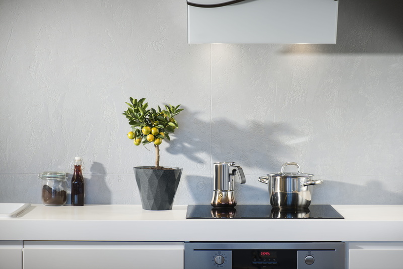 flowers, home, home showcase interior, kitchen, pottery, containers, kitchen counter, domestic life, domestic kitchen, doniczki, no people, top, nature