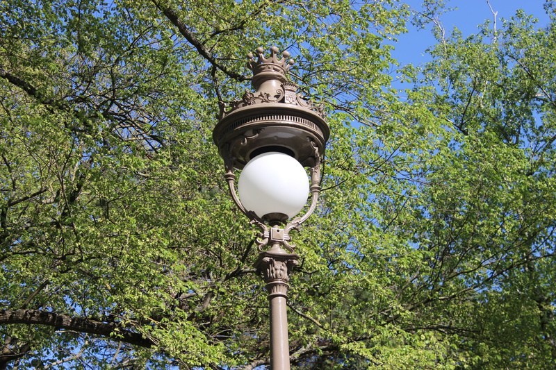 plant, jardin des plantes, technology, old, forged, electric lamp, electricity, sunlight, green color, street, luminaire, outdoors, no people, ball, old lamp