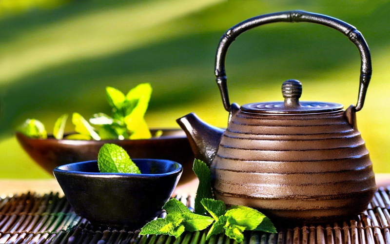 tea cup, growth, still life, nature, focus on foreground, freshness, food and drink, kettle, plant part, green color, Tea, Food, steel, Green, kitchen utensil
