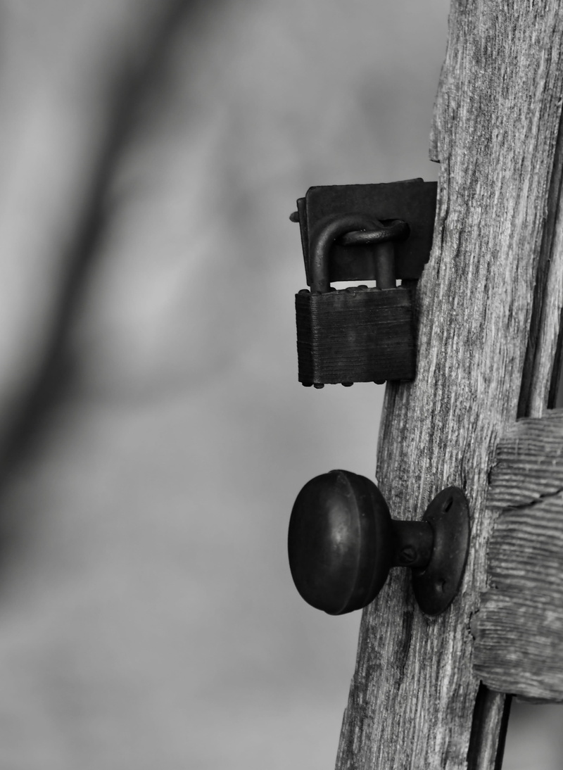 redwood, day, indoors, no people, vise, rust, nature, coat rack, close-up, security, protection, hardwood, wood - material, animal, lock, latch, outdoors