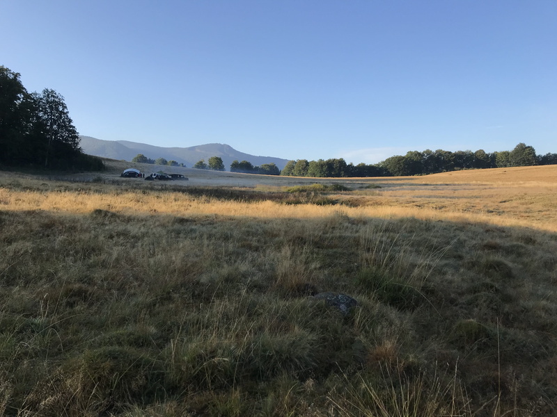 4K, tranquility, camping, copy space, no people, nature, field, camp, day, plant, outdoors, stock, remote, outdoor, tranquil scene, scenics - nature, environment