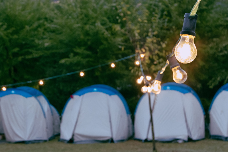 in a row, 4K, focus on foreground, plants, camp, camping, lamp, lightstring, enjoyment, leaf, outdoors, trekking, fun, turned, tent, people, green, lightbulb