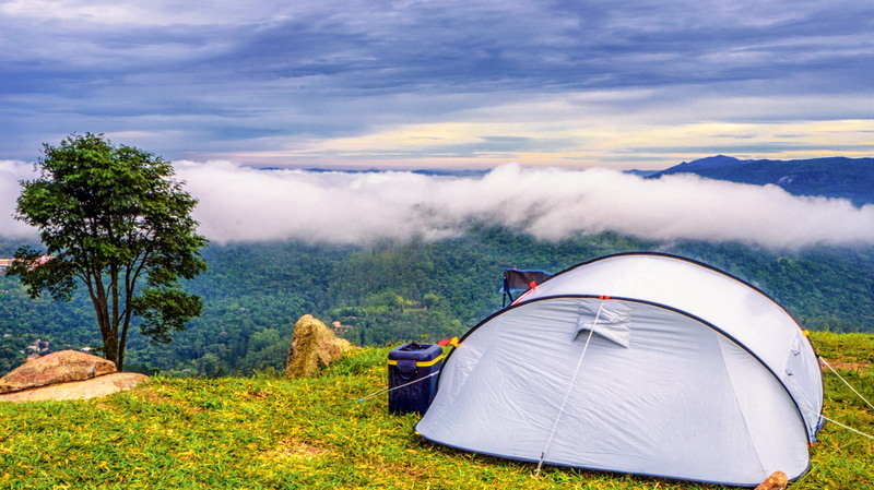 trip, são paulo, pine woodland, the stake, fields, trail, beauty in nature, tree, outdoor, green, camping, nature, travel, no people, trekking, tent, 4K