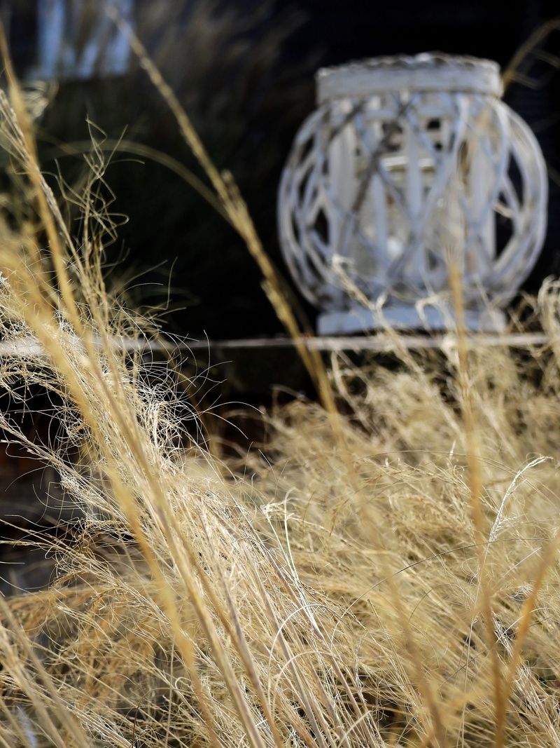 land, Lamp, abandoned, pattern, close-up, field, selective focus, day, grass, gartendeko, 4K, dry, run-down, metal, decoration, focus on foreground, nature