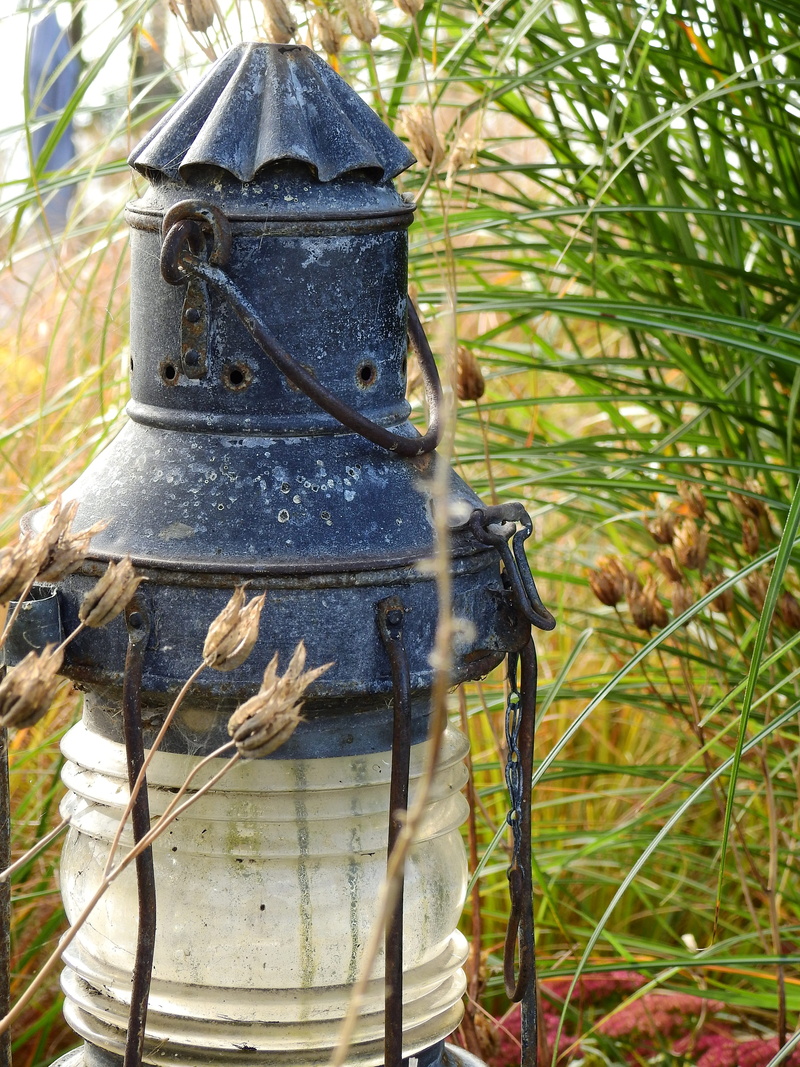 hanging lamp, nature, grass, metal, growth, 4K, representation, field, gartendeko, land, hanging, reed, no people, close-up, oil lamp, Lamp, sunlight