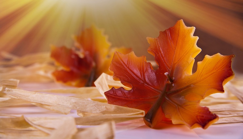 of course, 2K, season, plant part, decoration, sun, seasons, decorative, brown, autumn, orange, maple leaf, color, flower, candles, deco, close-up, orange Color