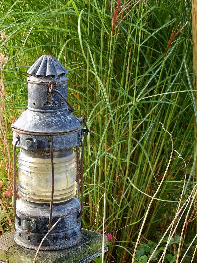 old, deco, still life, green color, container, decoration, lamp, land, sunlight, growth, nature, electric lamp, lantern, candlelight, high angle view, reed