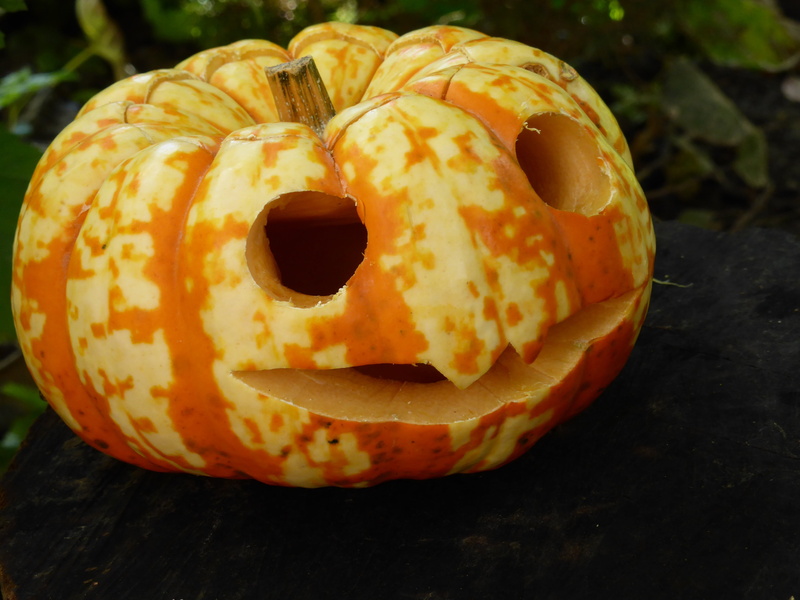 food and drink, craft, creepy, fash, autumn, face, food, holiday - event, no people, windlight, celebration, gourd, harvest, creativity, tinker, single object