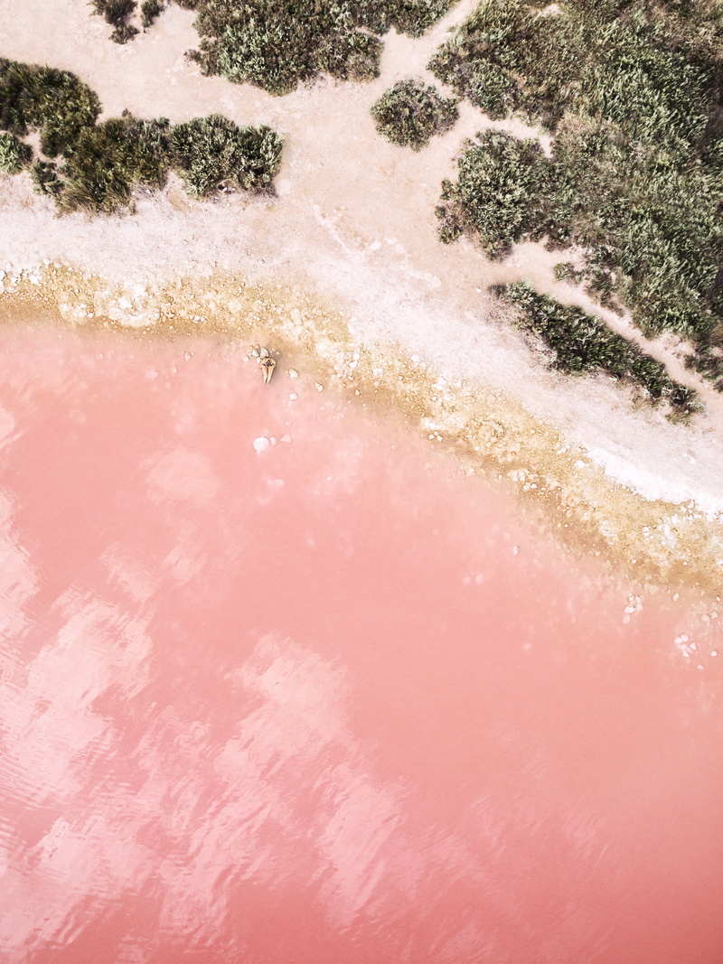 rocks, day, aerial view, land, green, aquatic sport, water, sea, beige, women, nature, high angle view, heat - temperature, white, outdoors, pink, sport