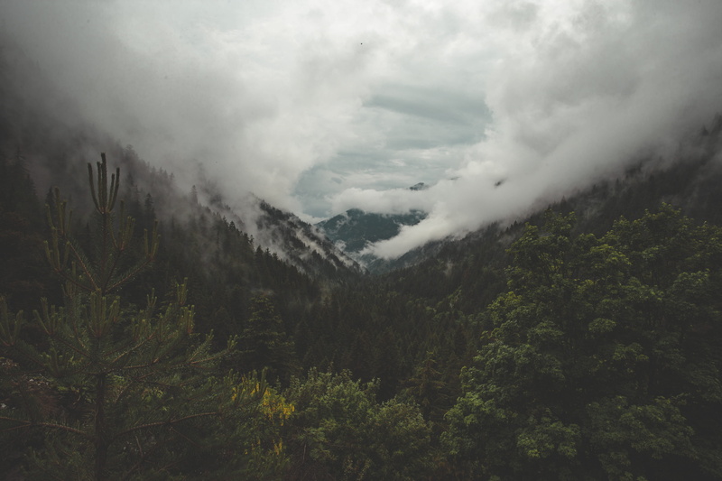 sea, valley, shadow, cloudy, no People, french alp, mist, matte, washed out, mountain, overcast, mountain Peak, weather, summer, outdoors, trees, cloud - Sky