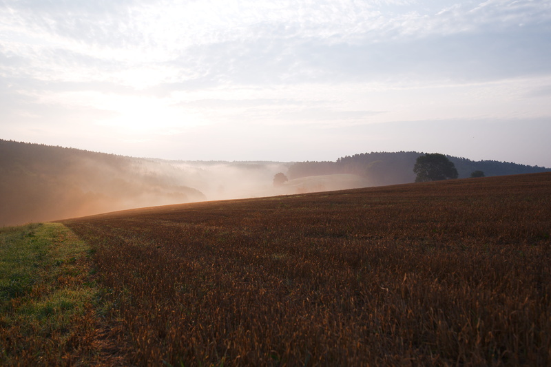 panorama, agriculture, dew, cloud, tranquility, environment, dawn, horizontal, schönwetter, no people, summer, sun, landscape, outdoors, hill, day, mountain