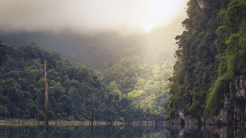 water, Thailand, forest, 5K, mist, body, 4k, 5k, 8k, near, green, mountain, daytime, mountains, river