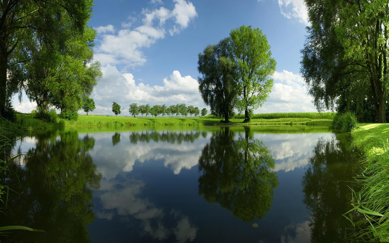 gorgeous, nature and lan, trees, land, 1080P, clear, forest, lake, nature, reflection, clouds, daylight, water, grass