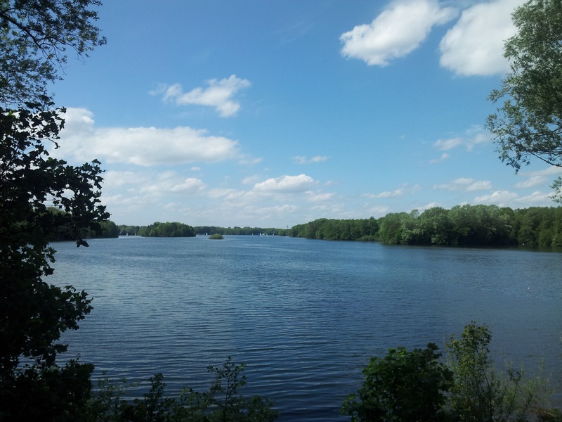 walk, summer, spring, cloud - sky, in the, day, plant, landscape, clouds, switch off, 2K, away, lake, tranquility, relax, growth, waterfront, mood, sky