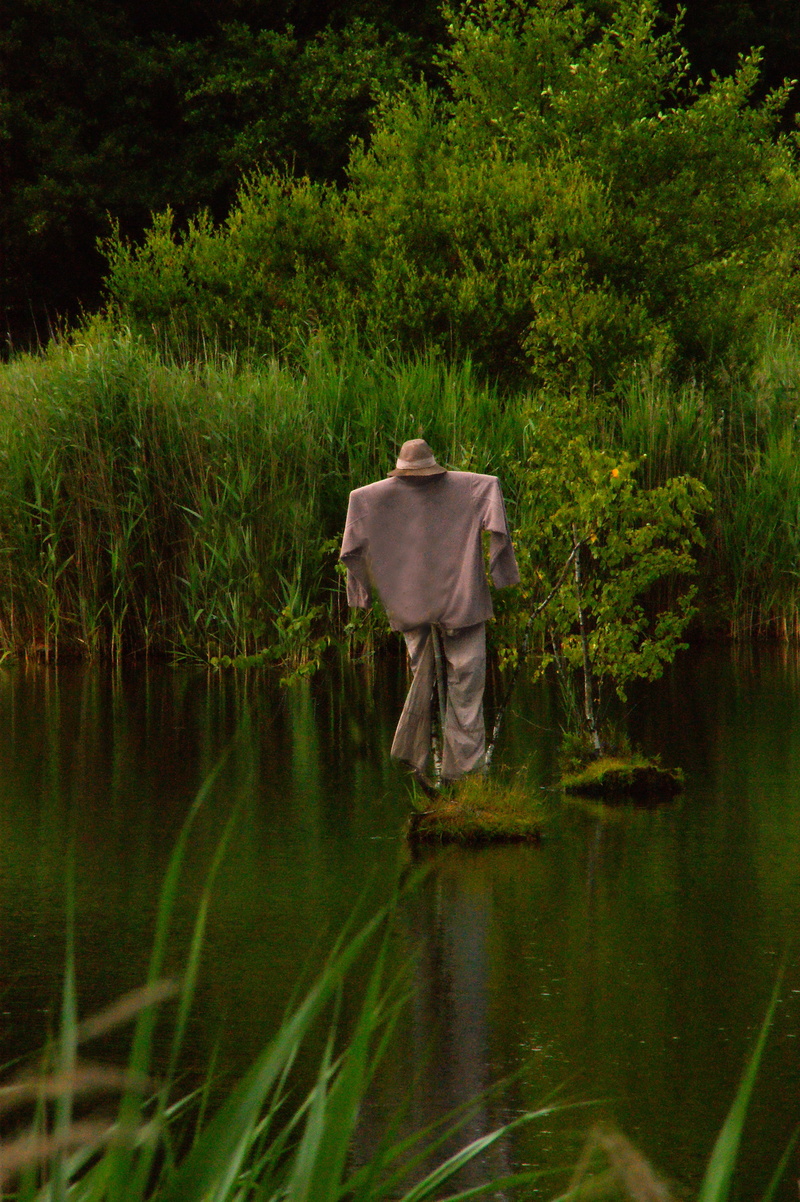 relax, beauty in nature, lake, trees, scenics - nature, lans, real people, three quarter length, plant, walk, tree, 4K, outdoors, land, occupation, reflection