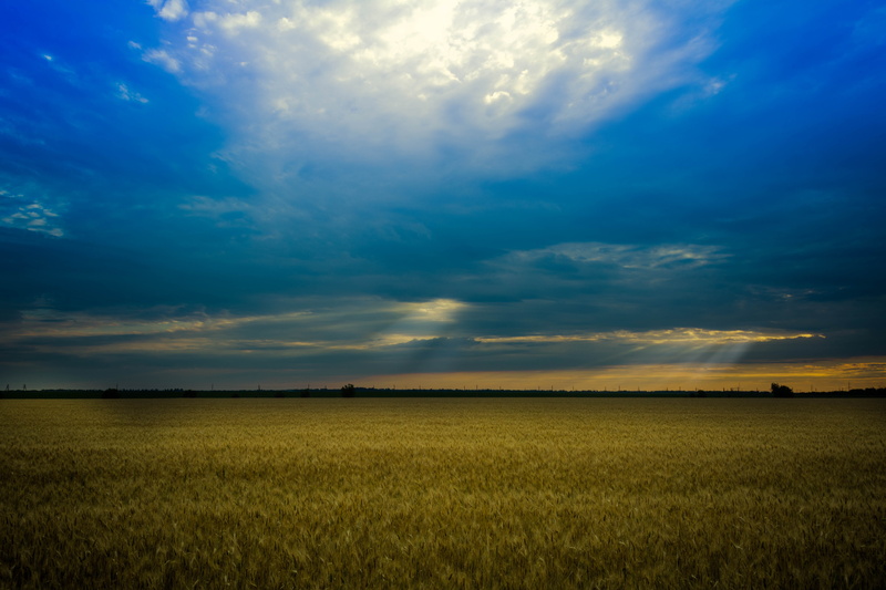 beauty in nature, scenics - nature, landscape, stefan voda, sunset, grau, panoramic, tranquil scene, cereal plant, no people, camp, nature, wheat, photo