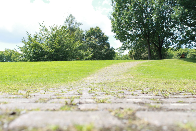 outdoors, landscape, tranquil scene, field, green, growth, stone, lan, green color, land, scenics - nature, footpath, sunlight, day, plant, away, nature