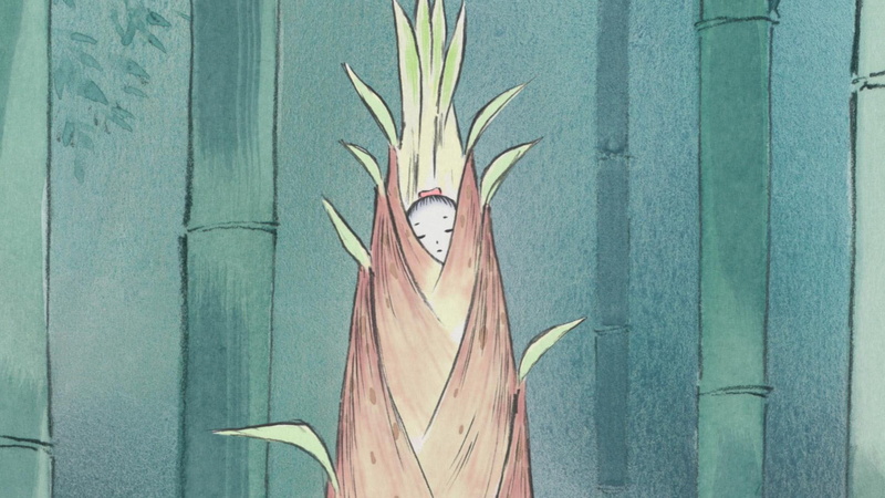 the tale of the princess kaguya, 1080P
