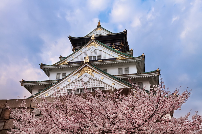 1080P, cherry tree, building, Japan, architecture, built structure, building exterior, spire, blossom, flower, cloud - sky, Castles, sky, Osaka Castle