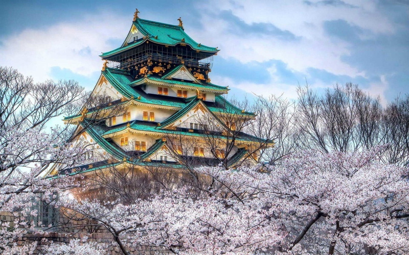 Man Made, Japan, building, Cherry Blossom, belief, springtime, tree, no people, cherry tree, nature, Castle, Castles, Osaka Castle, religion, cold temperature