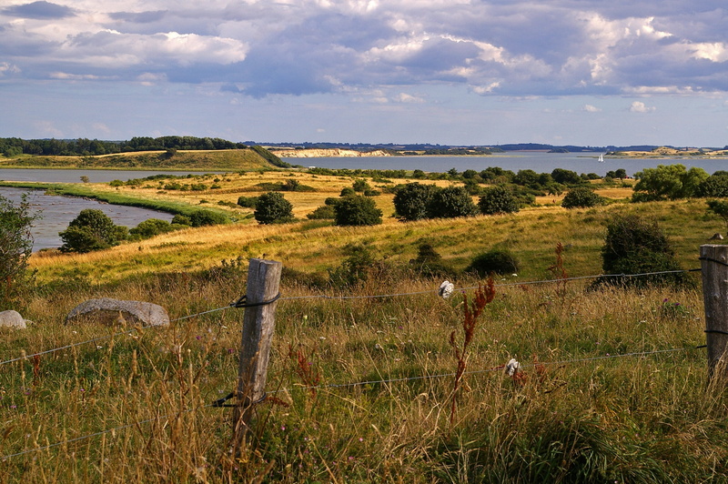 beach, environment, nature reserve, rural scene, on lake, danish baltic beach, holiday, rest, summer, grass, water, fyns hoved, reported, danish coast