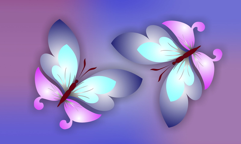 plant, color, purple, gentle, vulnerability, fragility, craft, vector, freshness, flower head, creativity, colored background, no people, multi colored