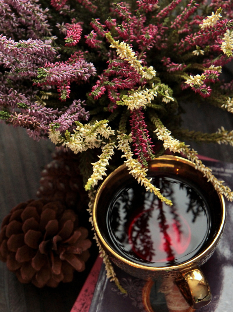 indoors, plant, violet, flower, tea, focus on foreground, heathers, growth, container, close-up, climate, garden, day, heather, decoration, food and drink
