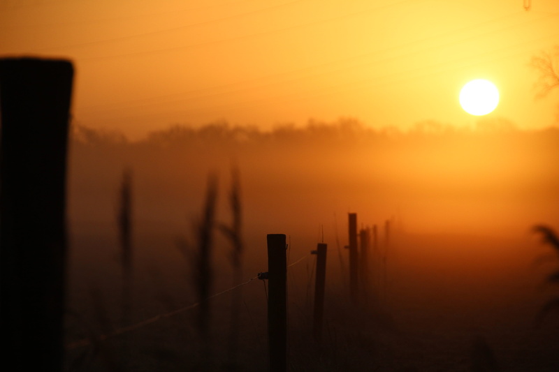 sky, grassland, back Lit, sunrise - Dawn, photo, outdoors, sunset, landscape, mist, silhouette, dusk, nature, hou, Sunrise, sunlight, 5K, pasture, pathway