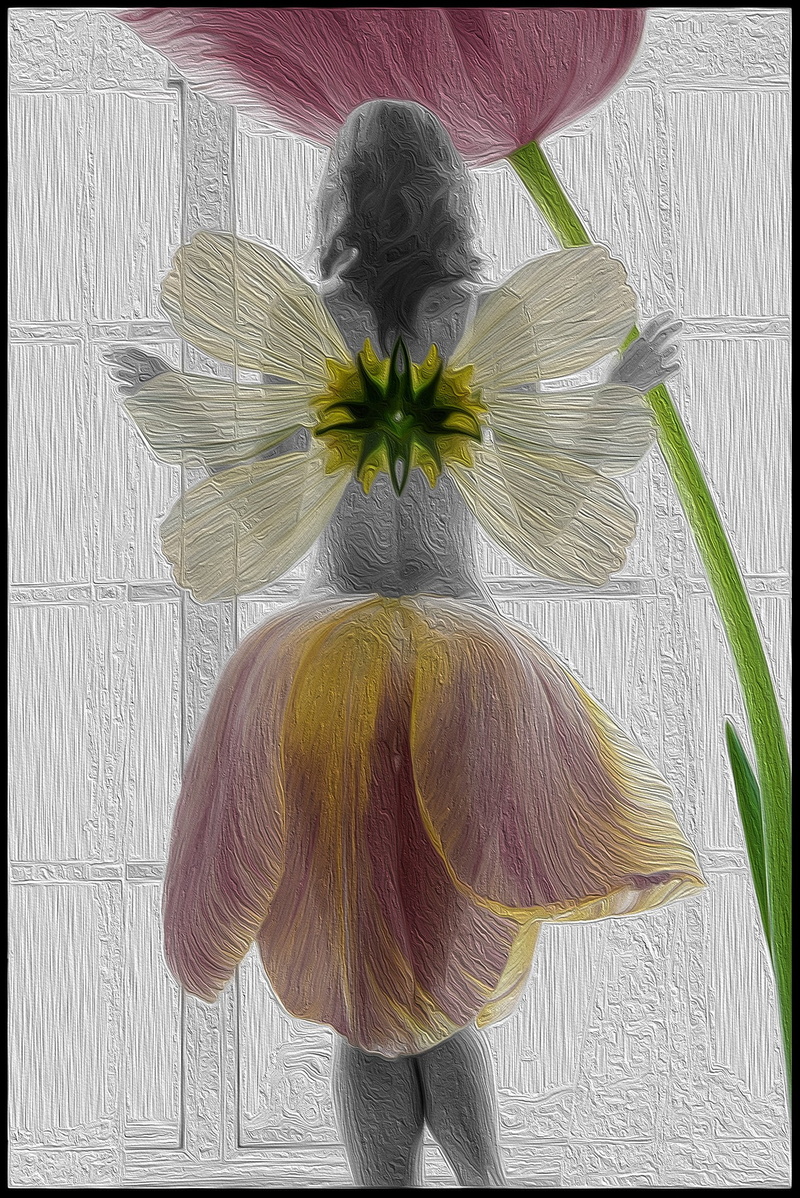 plant, flower head, close-up, leaf, fairies, floral pattern, no people, directly above, indoors, flowers, inflorescence, pattern, nature, petal, vulnerability