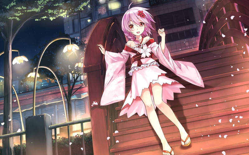 cartoon, anime, petals, braids, pink, 1500x938, girls, female, japanese, 720P, haired, building, anime girls, japanese clothes, character, clothes