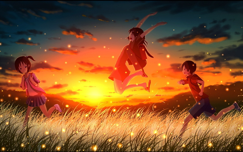men, childhood, nature, real people, field, cartoon, group of people, element, outdoors, fireflies, leisure activity, sunset, women, togetherness, land