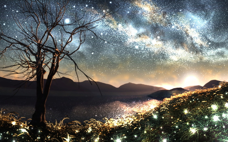 element, idyllic, silhouette, lake, tranquility, nature, 1080P, night, outdoors, grass, sky, water, tree, non-urban scene, tranquil scene, summer
