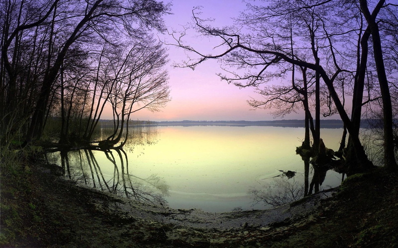 trees, nature and landscapes, pastel, 1080P, colors, lake, shore